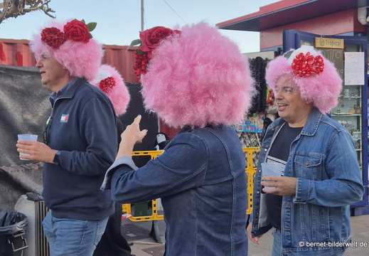 26-02-13-santa cruz-karneval-perueckenfest-peluca-190