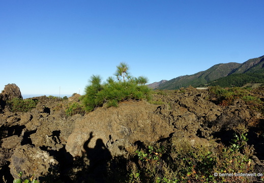 26-02-12-el paso-moraditas-017