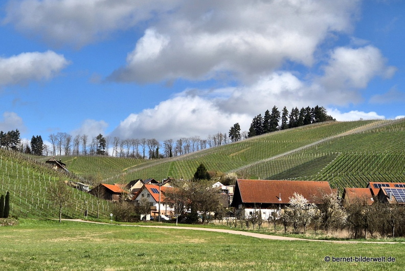 26-03-12-durbach-014.jpg