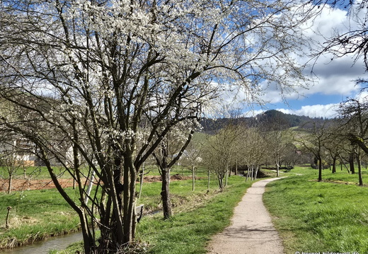 26-03-12-durbach-023