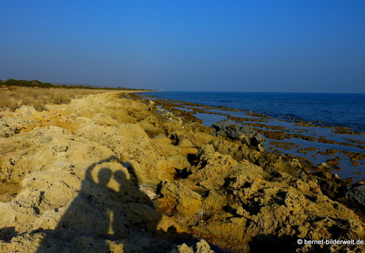 13-11-02-kumyali-133