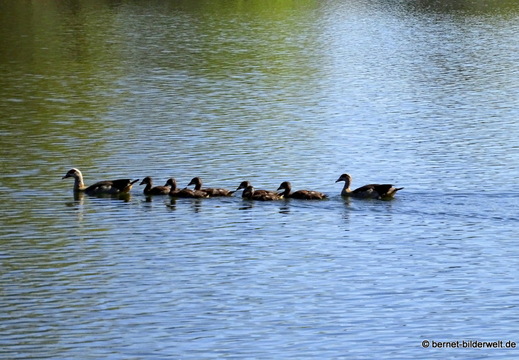 26-04-08-koenigswaldsee-065