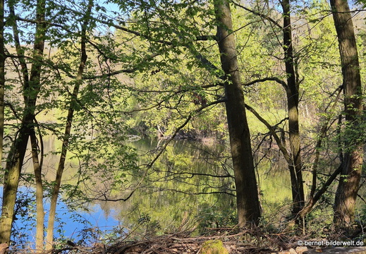 26-04-08-koenigswaldsee-076
