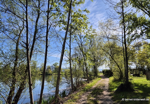 26-04-08-koenigswaldsee-091