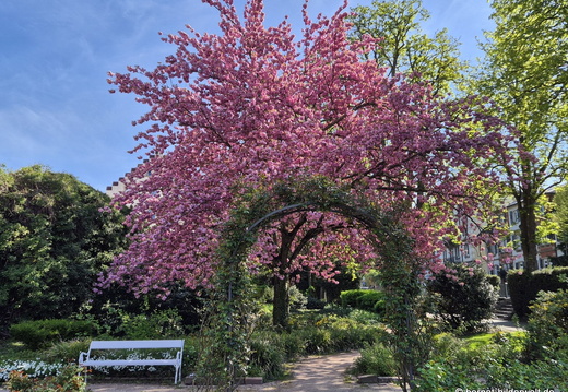 26-04-09-rosengarten-003