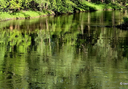 26-04-26-griesheim-am muehlbach-001