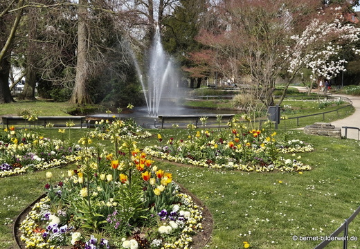 26-03-24-fruehling-zwinger-001