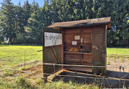 26-08-09-hiddingen-003