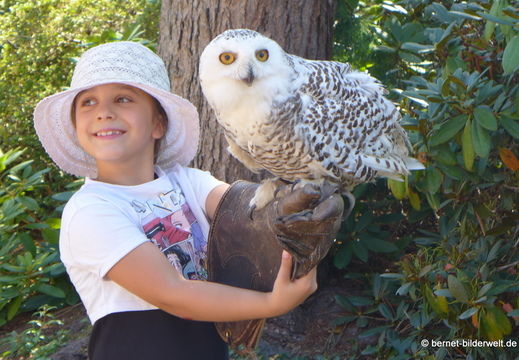 26-08-09-walsrode-vogelpark-132