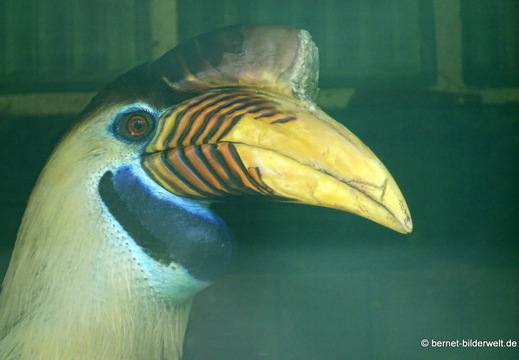 26-08-09-walsrode-vogelpark-134