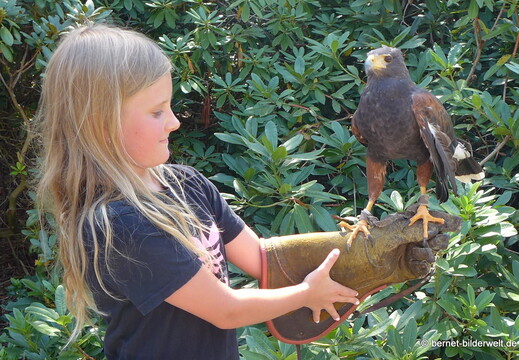 26-08-09-walsrode-vogelpark-136