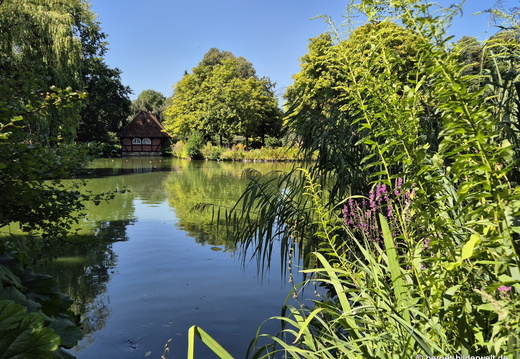 26-08-09-walsrode-vogelpark-147