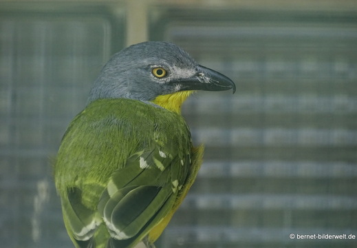 26-08-09-walsrode-vogelpark-181