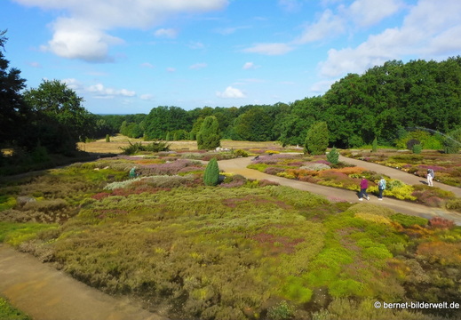 26-08-11-schneverdingen-heidegarten-009