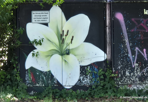 26-06-25-ms-stromkasten-graffito-