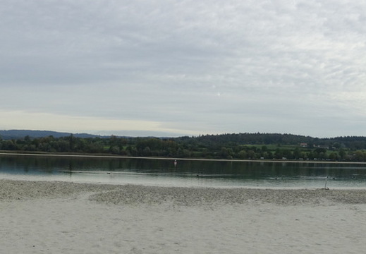 26-09-24-radolfzell-mettnau-niedrigwasser-001