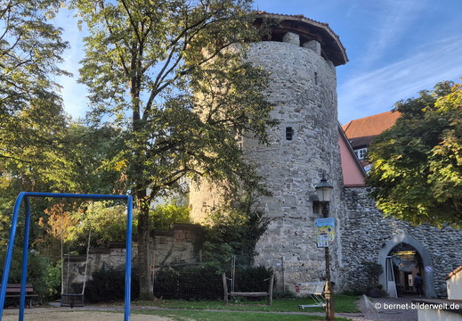 26-09-25-radolfzell-stadtgarten-001
