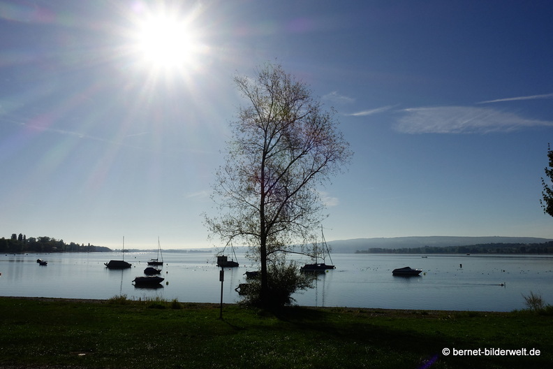 26-09-25-radolfzell-ufer-037.jpg